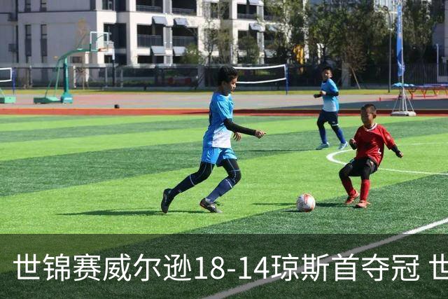 世锦赛威尔逊18-14琼斯首夺冠 世界排名升至第三
